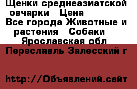 Щенки среднеазиатской овчарки › Цена ­ 20 000 - Все города Животные и растения » Собаки   . Ярославская обл.,Переславль-Залесский г.